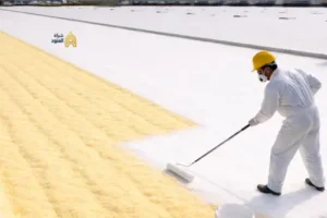 عزل شينكو بالرياض