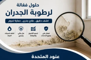 علاج الرطوبة بالجدران